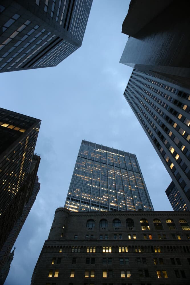 Navigating the Cyber Jungle