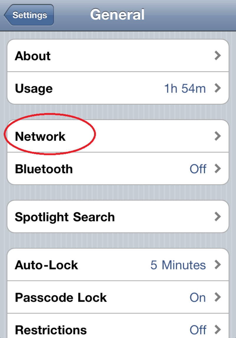 Choose Network Settings on iOS device