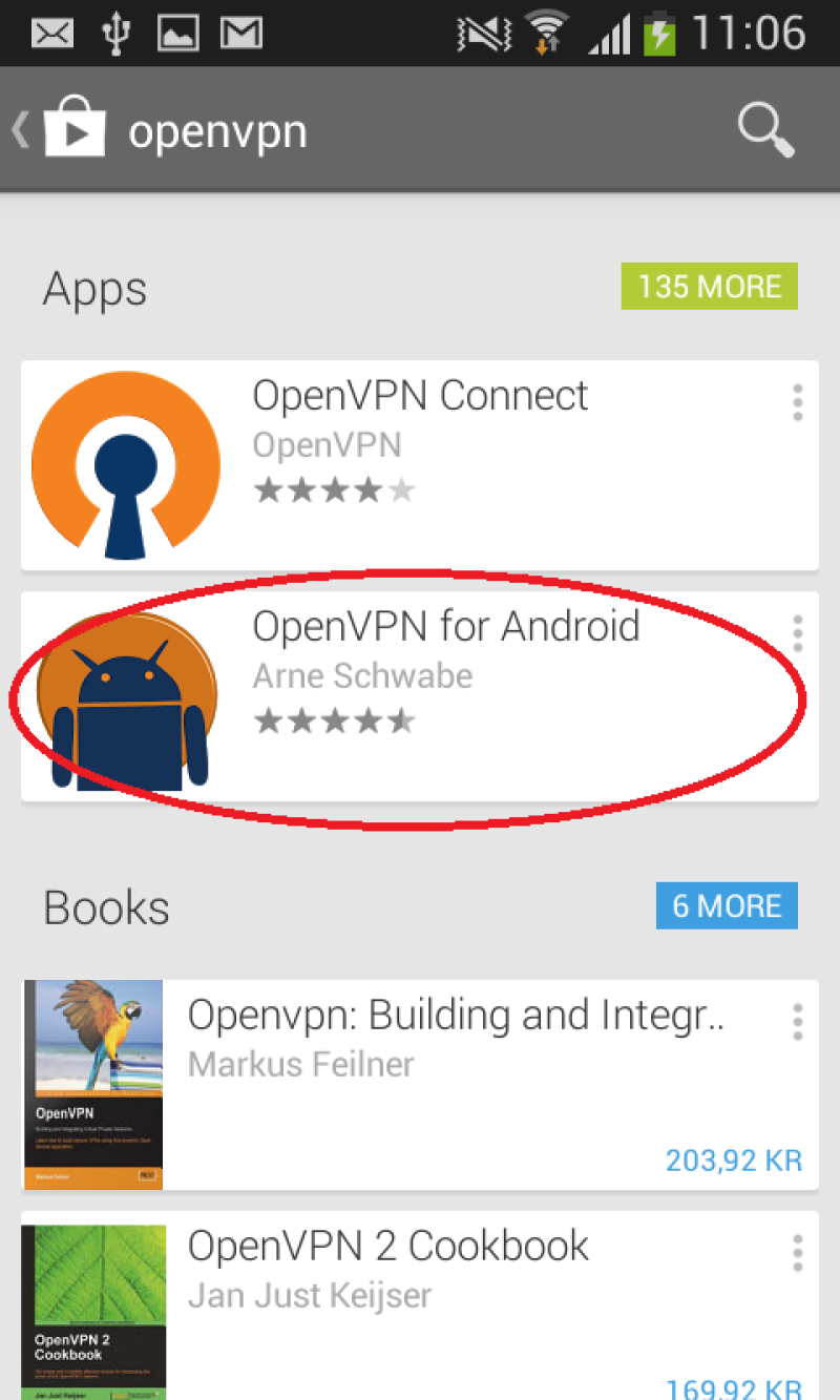 Open Play Store and search for OpenVPN
