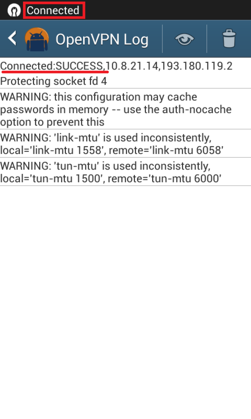 OpenVPN Log