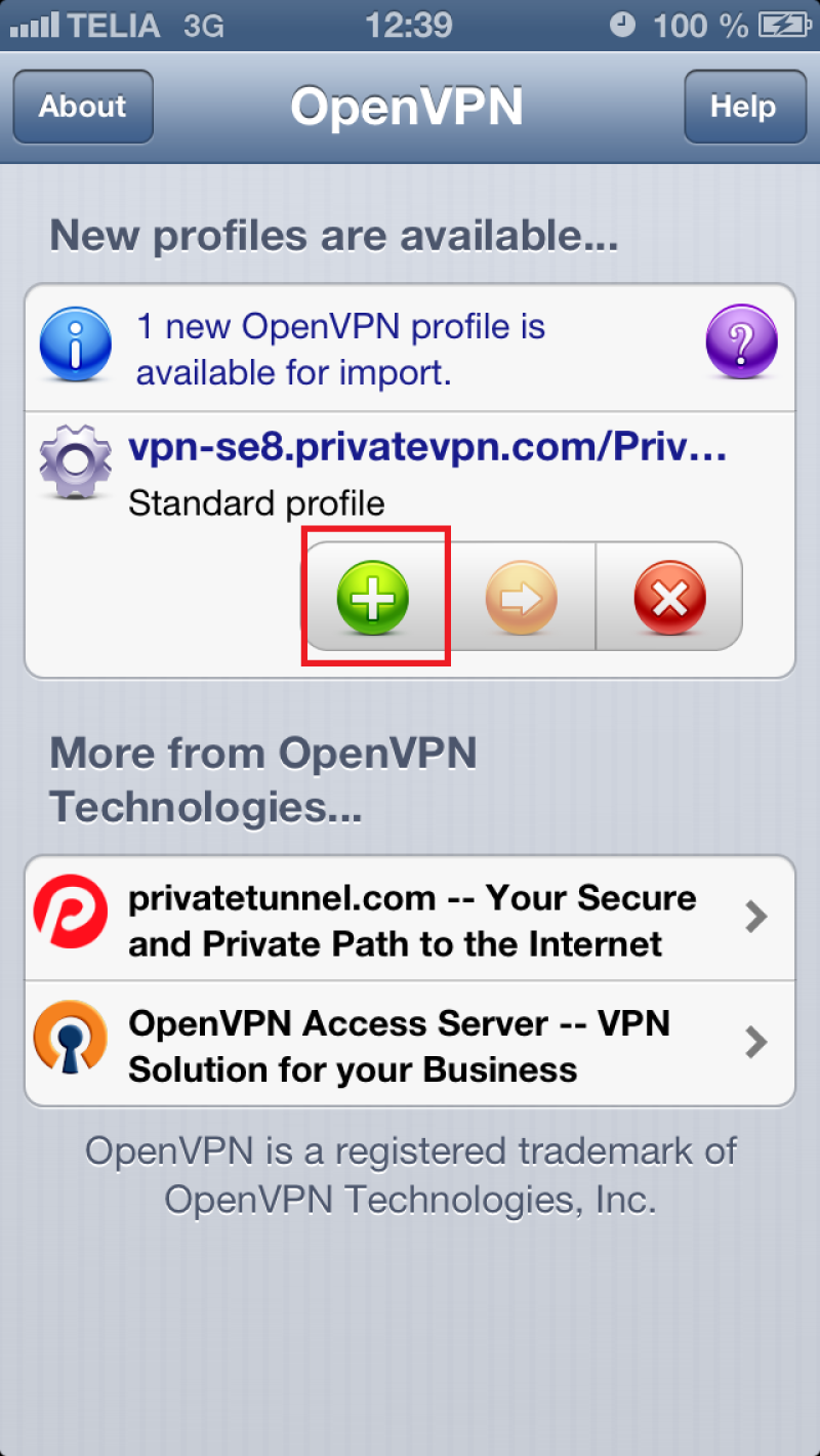 Open VPN Standart Profile