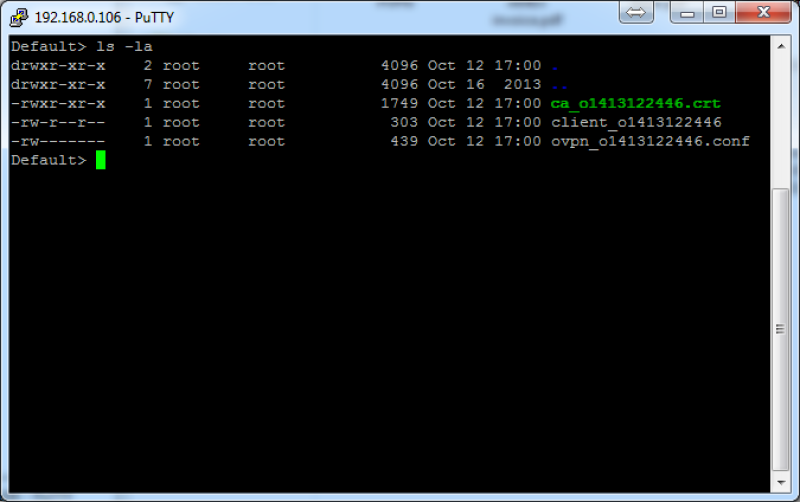 VPN client settings file